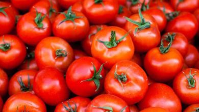 فوائد واضرار الطماطم